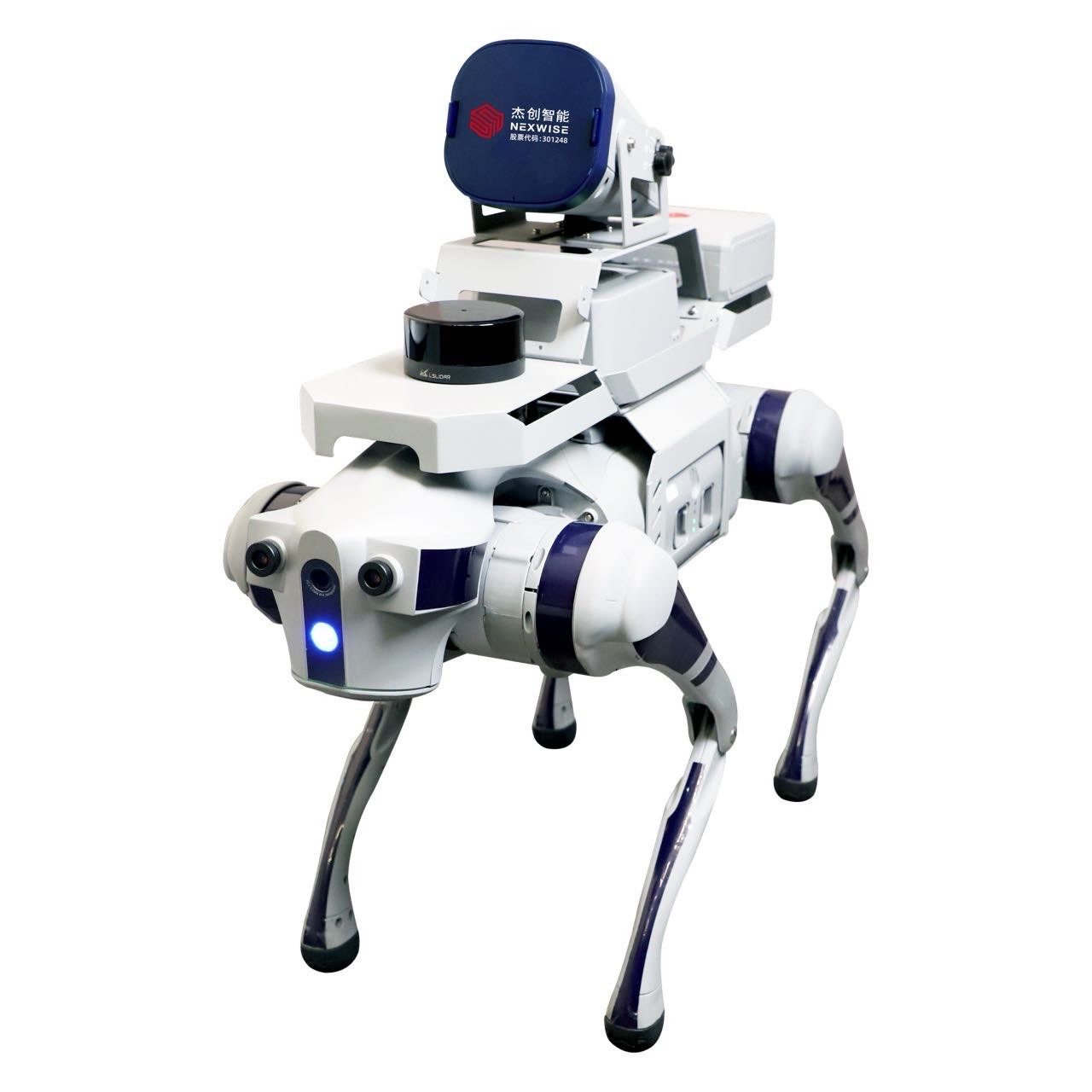 �������Ѳ����е��